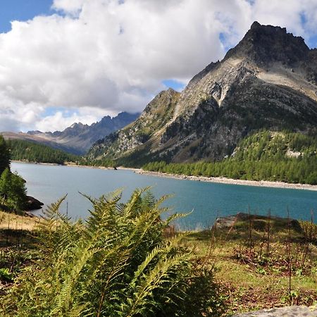 Willa Casa Vacanza In Tipico Chalet Di Montagna Varzo Zewnętrze zdjęcie