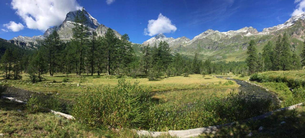 Willa Casa Vacanza In Tipico Chalet Di Montagna Varzo Zewnętrze zdjęcie