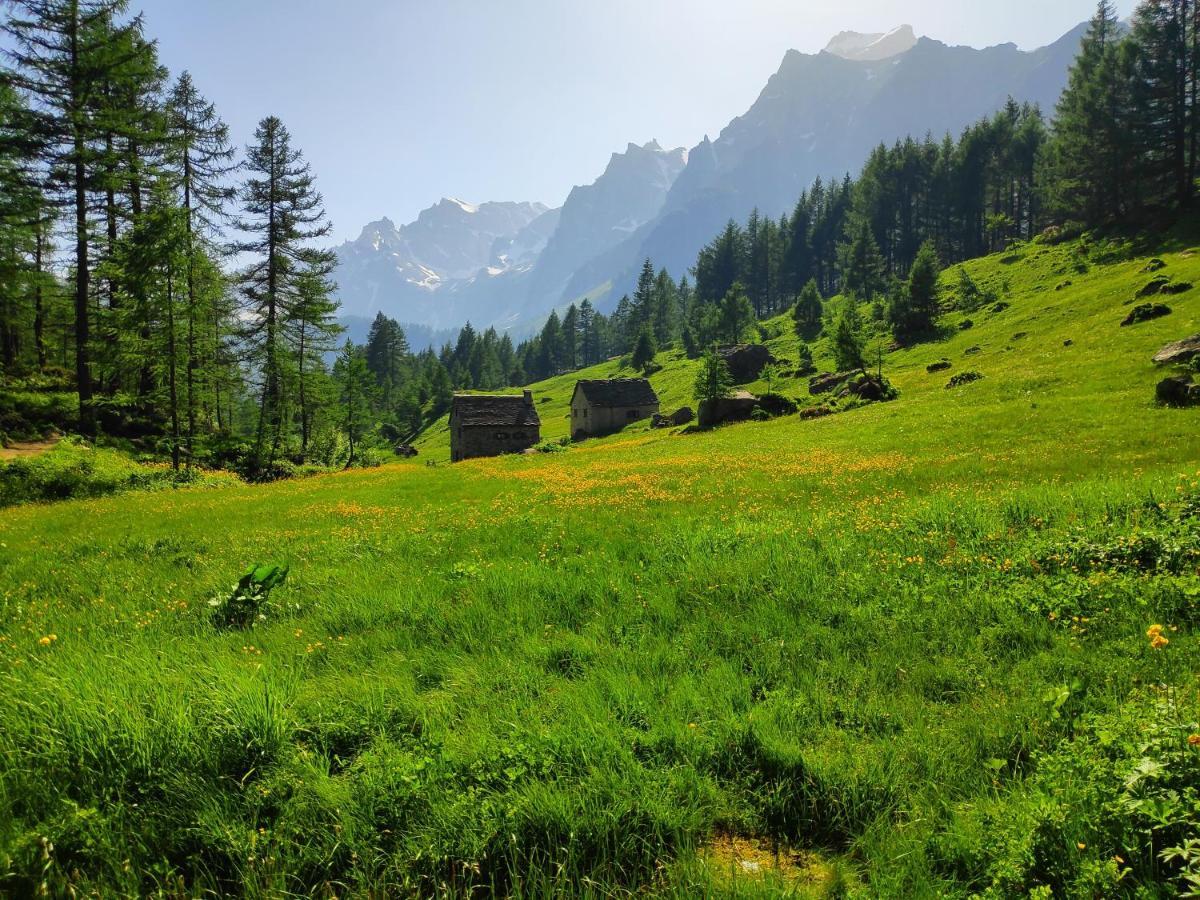 Willa Casa Vacanza In Tipico Chalet Di Montagna Varzo Zewnętrze zdjęcie